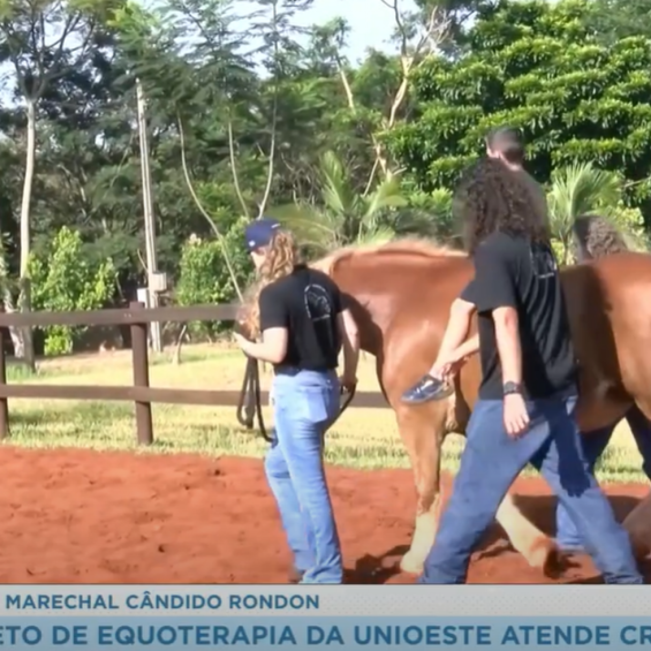 Projeto de Equoterapia atende crianças com neuro divergências em Marechal Cândido Rondon